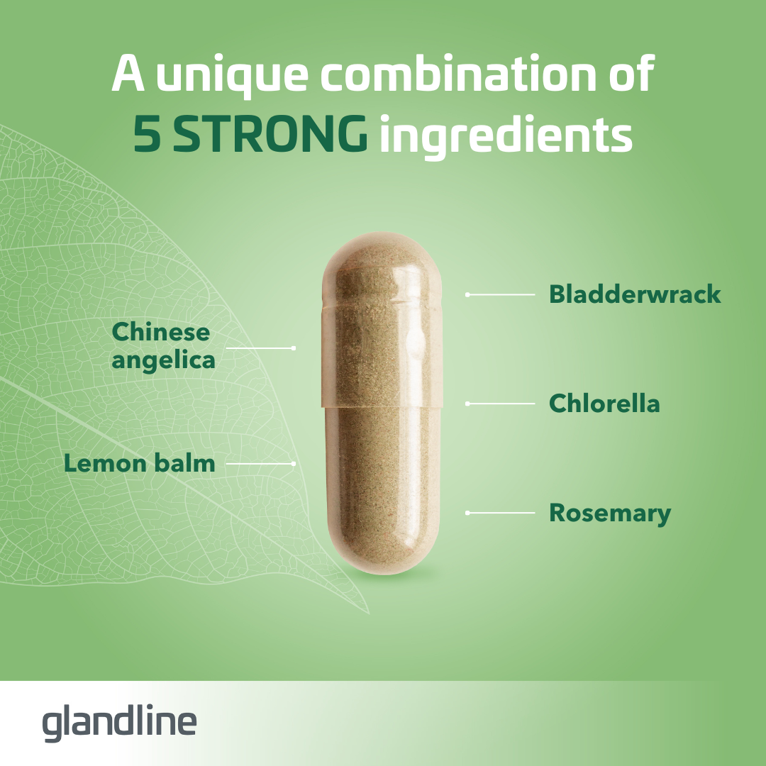 EstroLux for Hormonal Balance 1+1 FREE
